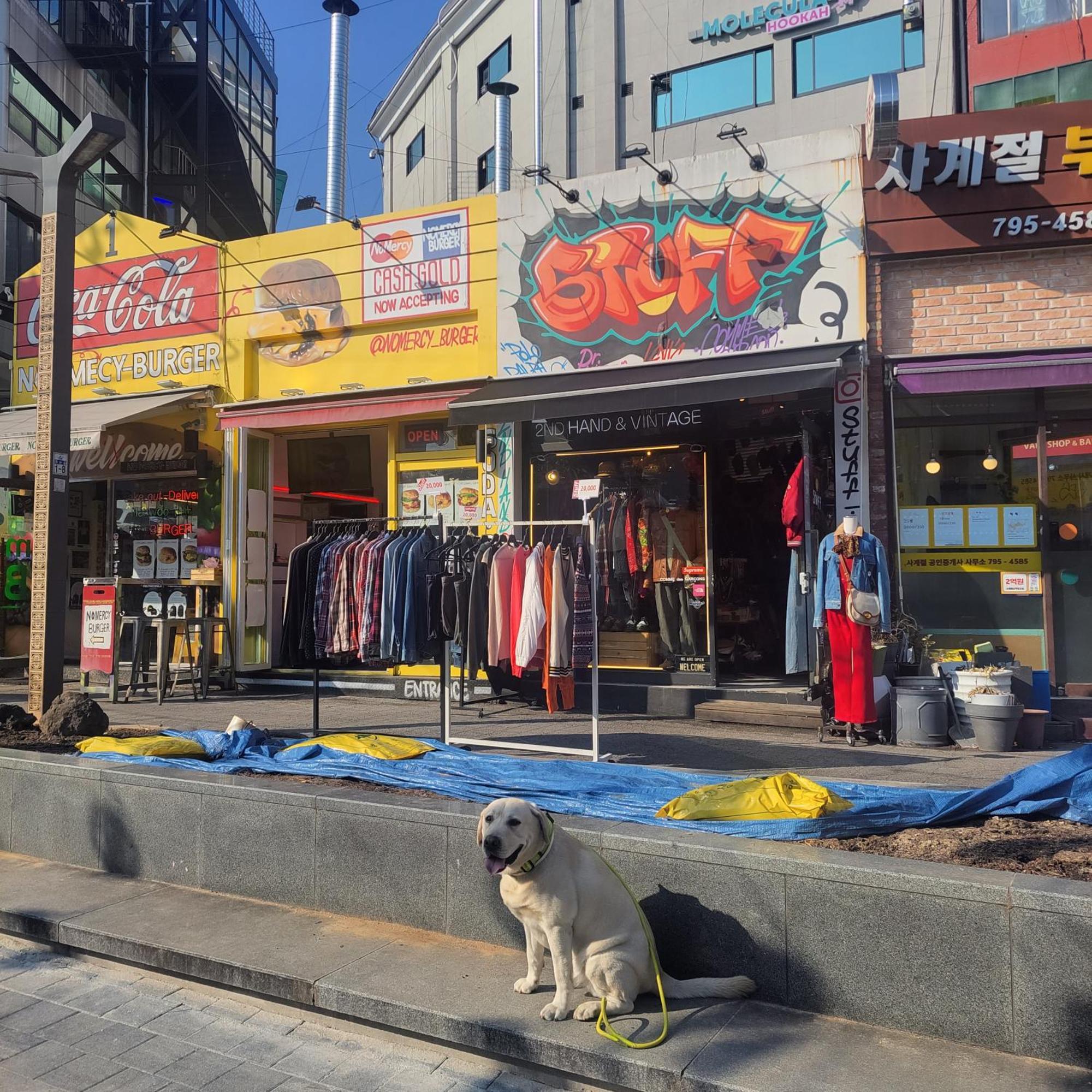 Pangsapuri Newly Renovated Center Of #10 Seoul