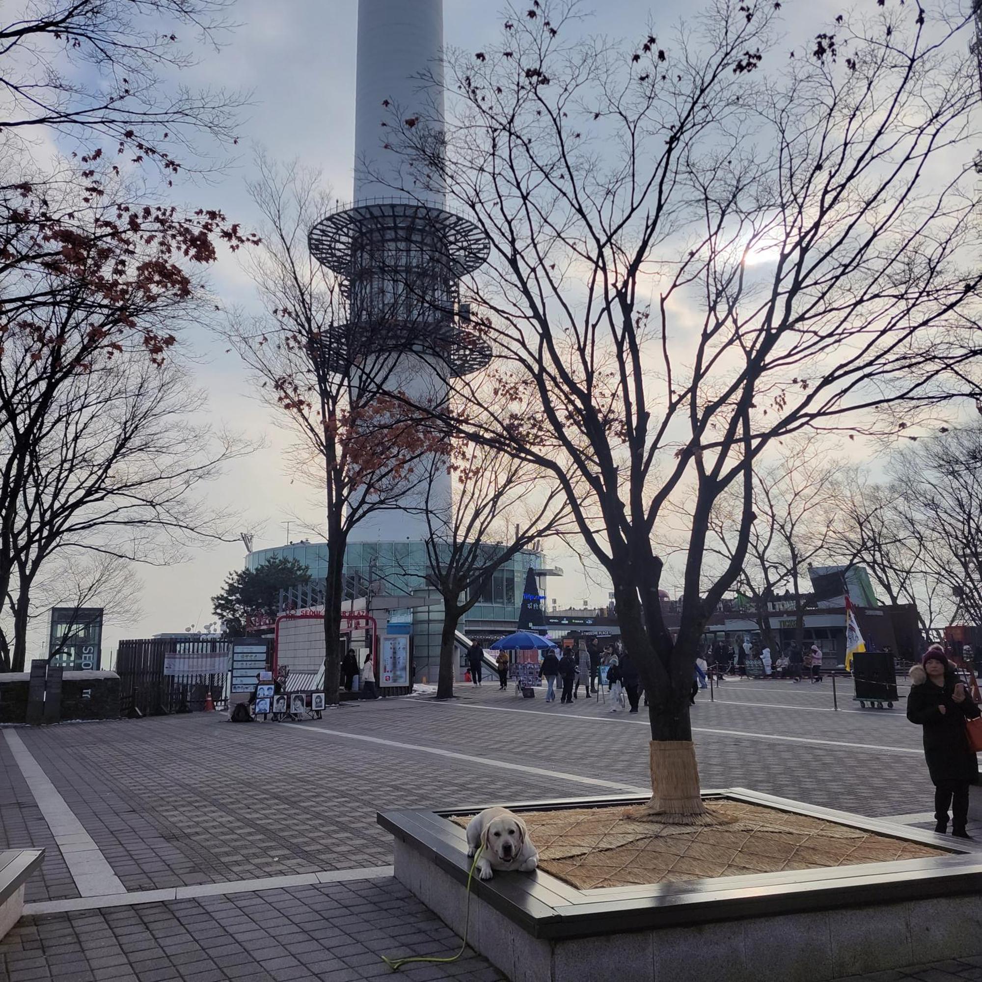 Newly Renovated Center Of #10 * Seoul